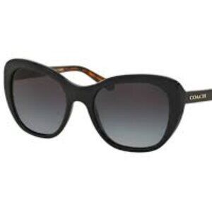 Coach HC8204 Sunglasses in Black and Tortoise with Case and Cloth